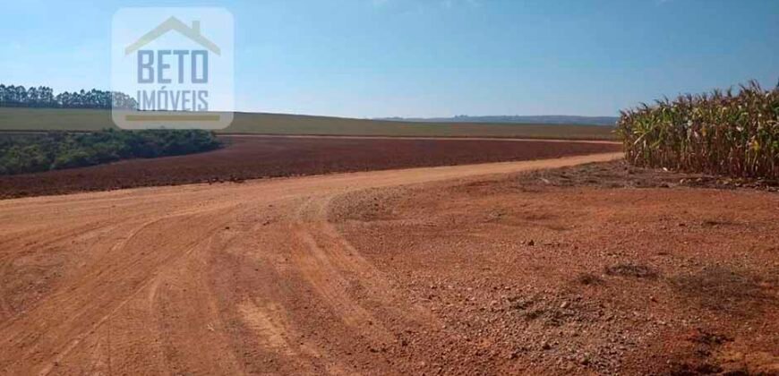 Excelente Fazenda Dupla Aptidão 5050 has Estrutura completa café e pecuária | Triangulo Mineiro/ MG