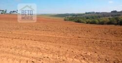 Excelente Fazenda Dupla Aptidão 5050 has Estrutura completa café e pecuária | Triangulo Mineiro/ MG