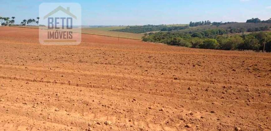 Excelente Fazenda Dupla Aptidão 5050 has Estrutura completa café e pecuária | Triangulo Mineiro/ MG