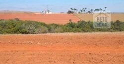 Excelente Fazenda Dupla Aptidão 5050 has Estrutura completa café e pecuária | Triangulo Mineiro/ MG