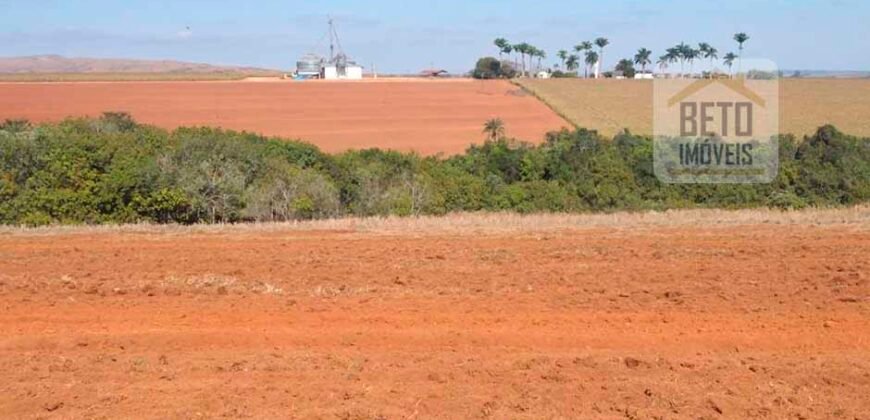 Excelente Fazenda Dupla Aptidão 5050 has Estrutura completa café e pecuária | Triangulo Mineiro/ MG