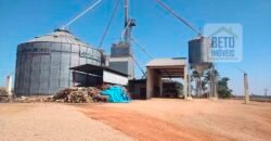 Excelente Fazenda Dupla Aptidão 5050 has Estrutura completa café e pecuária | Triangulo Mineiro/ MG