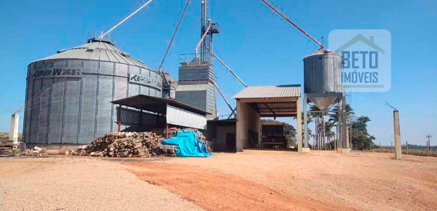 Excelente Fazenda Dupla Aptidão 5050 has Estrutura completa café e pecuária | Triangulo Mineiro/ MG