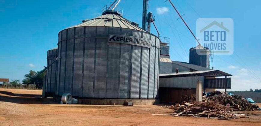 Excelente Fazenda Dupla Aptidão 5050 has Estrutura completa café e pecuária | Triangulo Mineiro/ MG