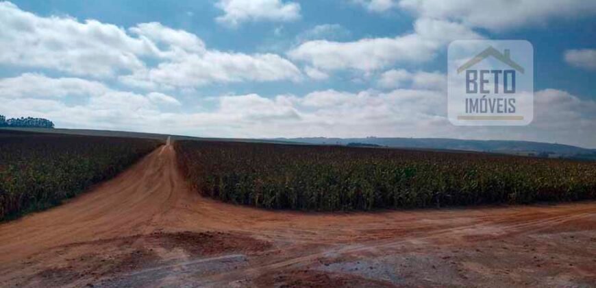 Excelente Fazenda Dupla Aptidão 5050 has Estrutura completa café e pecuária | Triangulo Mineiro/ MG