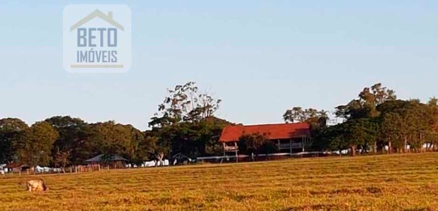 Fazenda de Pecuária à venda 922 alqueires Casa sede e toda estrutura pronta | Primavera/ SP