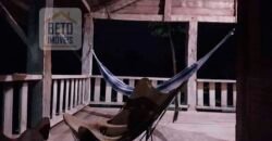 Fazenda de Pecuária à venda 922 alqueires Casa sede e toda estrutura pronta | Primavera/ SP