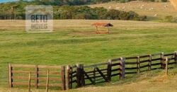 Fazenda de Pecuária à venda 922 alqueires Casa sede e toda estrutura pronta | Primavera/ SP