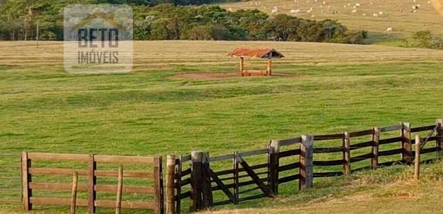 Fazenda de Pecuária à venda 922 alqueires Casa sede e toda estrutura pronta | Primavera/ SP