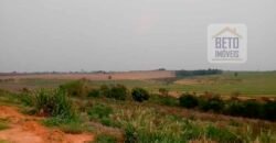 Ótima Oportunidade! Fazenda Lavoura de Cana 3.978 alqueires | Presidente Prudente/ SP