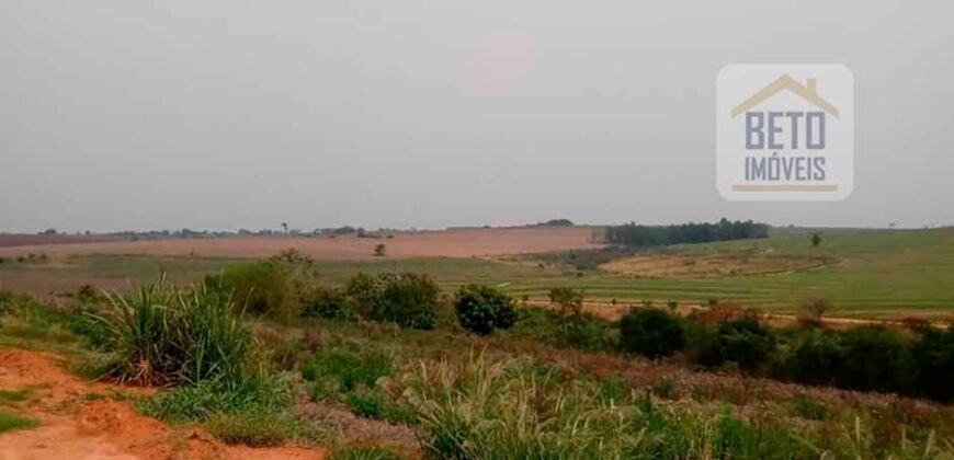 Ótima Oportunidade! Fazenda Lavoura de Cana 3.978 alqueires | Presidente Prudente/ SP