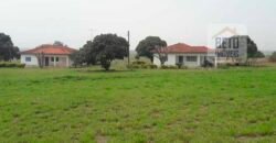 Ótima Oportunidade! Fazenda Lavoura de Cana 3.978 alqueires | Presidente Prudente/ SP