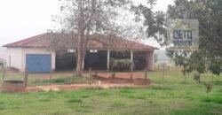 Ótima Oportunidade! Fazenda Lavoura de Cana 3.978 alqueires | Presidente Prudente/ SP