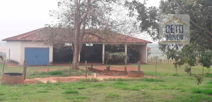 Ótima Oportunidade! Fazenda Lavoura de Cana 3.978 alqueires | Presidente Prudente/ SP