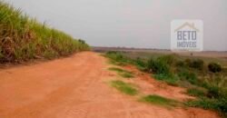 Ótima Oportunidade! Fazenda Lavoura de Cana 3.978 alqueires | Presidente Prudente/ SP