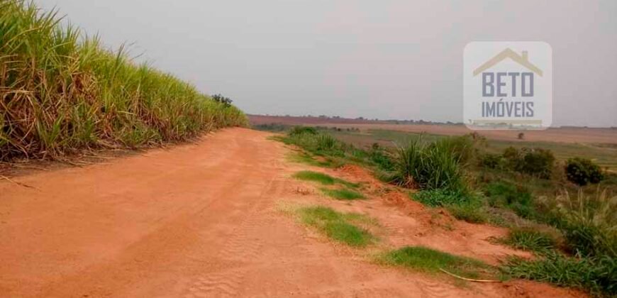 Ótima Oportunidade! Fazenda Lavoura de Cana 3.978 alqueires | Presidente Prudente/ SP