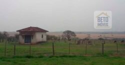 Ótima Oportunidade! Fazenda Lavoura de Cana 3.978 alqueires | Presidente Prudente/ SP