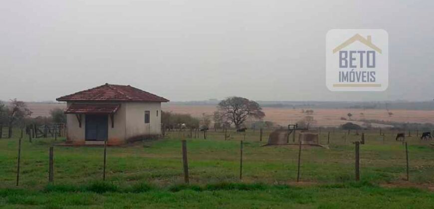 Ótima Oportunidade! Fazenda Lavoura de Cana 3.978 alqueires | Presidente Prudente/ SP