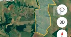 Ótima Oportunidade! Fazenda Lavoura de Cana 3.978 alqueires | Presidente Prudente/ SP