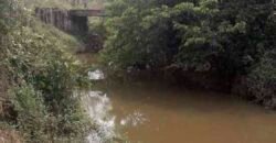 Ótima Oportunidade! Fazenda Lavoura de Cana 3.978 alqueires | Presidente Prudente/ SP