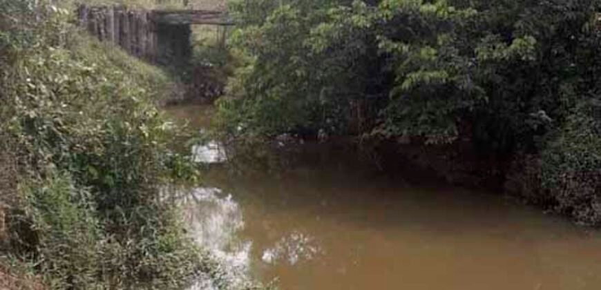 Ótima Oportunidade! Fazenda Lavoura de Cana 3.978 alqueires | Presidente Prudente/ SP