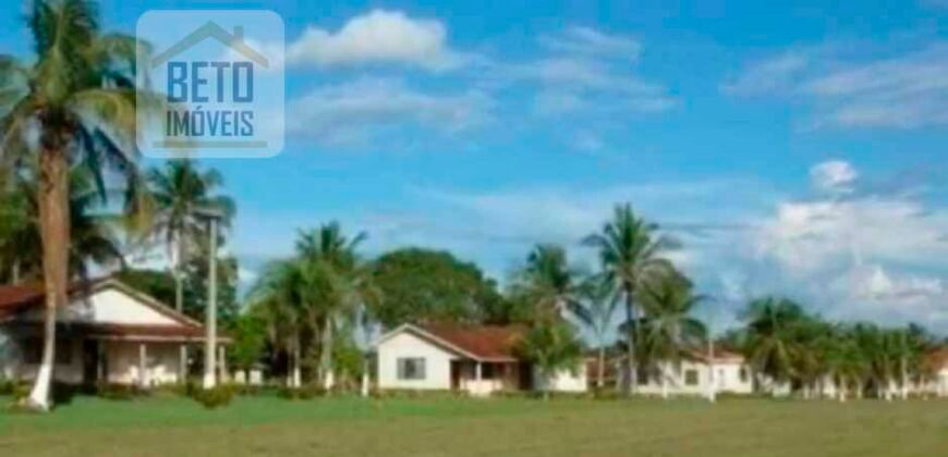 Oportunidade Única: Fazenda de Dupla Aptidão na Região de Aripuanã, MT Oportunidade Única: Fazenda de Dupla Aptidão na Região de Aripuanã, MT