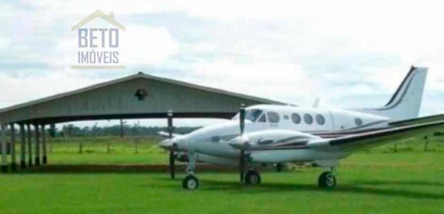 Oportunidade Única: Fazenda de Dupla Aptidão na Região de Aripuanã, MT Oportunidade Única: Fazenda de Dupla Aptidão na Região de Aripuanã, MT