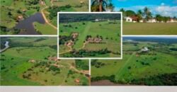 Oportunidade Única: Fazenda de Dupla Aptidão na Região de Aripuanã, MT Oportunidade Única: Fazenda de Dupla Aptidão na Região de Aripuanã, MT