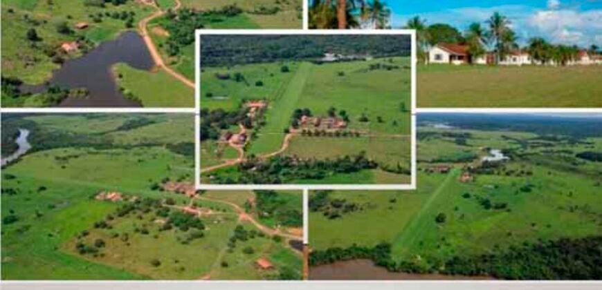 Oportunidade Única: Fazenda de Dupla Aptidão na Região de Aripuanã, MT Oportunidade Única: Fazenda de Dupla Aptidão na Região de Aripuanã, MT