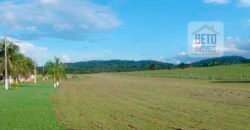 Oportunidade Única: Fazenda de Dupla Aptidão na Região de Aripuanã, MT Oportunidade Única: Fazenda de Dupla Aptidão na Região de Aripuanã, MT