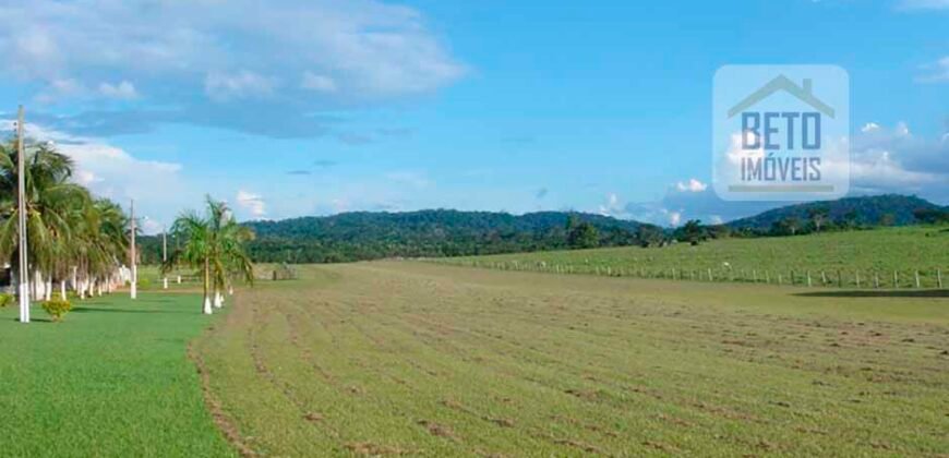 Oportunidade Única: Fazenda de Dupla Aptidão na Região de Aripuanã, MT Oportunidade Única: Fazenda de Dupla Aptidão na Região de Aripuanã, MT