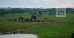 Oportunidade Única: Fazenda de Dupla Aptidão na Região de Aripuanã, MT Oportunidade Única: Fazenda de Dupla Aptidão na Região de Aripuanã, MT
