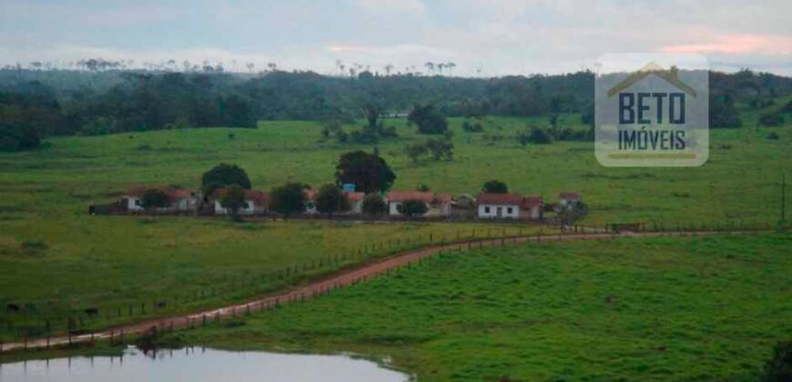 Oportunidade Única: Fazenda de Dupla Aptidão na Região de Aripuanã, MT Oportunidade Única: Fazenda de Dupla Aptidão na Região de Aripuanã, MT