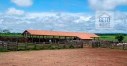 Oportunidade Única: Fazenda de Dupla Aptidão na Região de Aripuanã, MT Oportunidade Única: Fazenda de Dupla Aptidão na Região de Aripuanã, MT