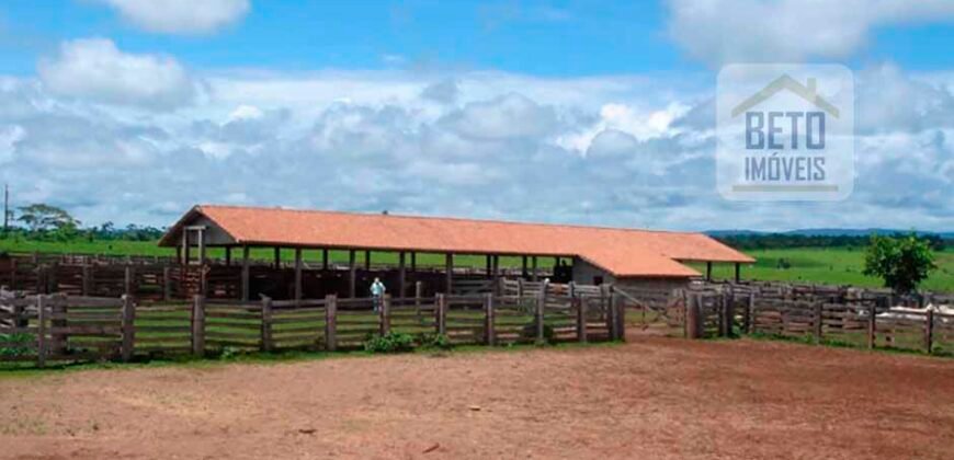Oportunidade Única: Fazenda de Dupla Aptidão na Região de Aripuanã, MT Oportunidade Única: Fazenda de Dupla Aptidão na Região de Aripuanã, MT