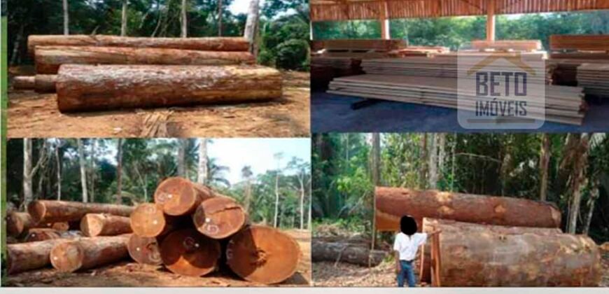 Oportunidade Única: Fazenda de Dupla Aptidão na Região de Aripuanã, MT Oportunidade Única: Fazenda de Dupla Aptidão na Região de Aripuanã, MT