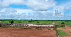 Oportunidade Única: Fazenda de Dupla Aptidão na Região de Aripuanã, MT Oportunidade Única: Fazenda de Dupla Aptidão na Região de Aripuanã, MT