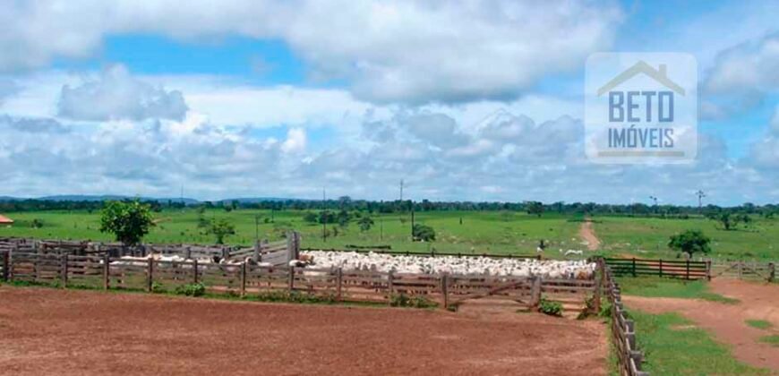 Oportunidade Única: Fazenda de Dupla Aptidão na Região de Aripuanã, MT Oportunidade Única: Fazenda de Dupla Aptidão na Região de Aripuanã, MT