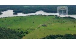 Oportunidade Única: Fazenda de Dupla Aptidão na Região de Aripuanã, MT Oportunidade Única: Fazenda de Dupla Aptidão na Região de Aripuanã, MT