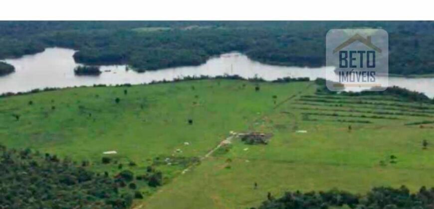 Oportunidade Única: Fazenda de Dupla Aptidão na Região de Aripuanã, MT Oportunidade Única: Fazenda de Dupla Aptidão na Região de Aripuanã, MT