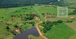 Oportunidade Única: Fazenda de Dupla Aptidão na Região de Aripuanã, MT Oportunidade Única: Fazenda de Dupla Aptidão na Região de Aripuanã, MT