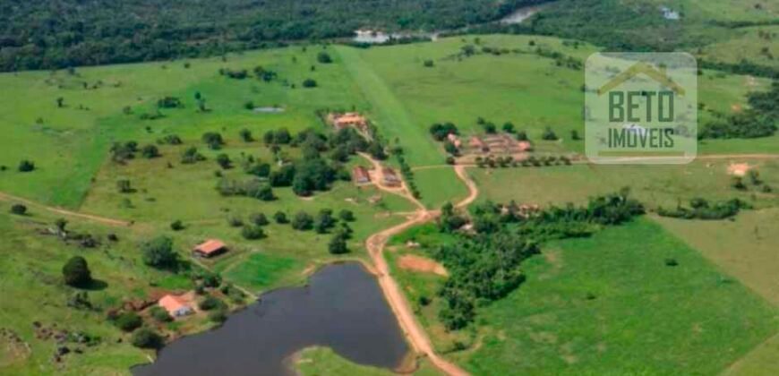 Oportunidade Única: Fazenda de Dupla Aptidão na Região de Aripuanã, MT Oportunidade Única: Fazenda de Dupla Aptidão na Região de Aripuanã, MT