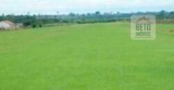 Oportunidade Única: Fazenda de Dupla Aptidão na Região de Aripuanã, MT Oportunidade Única: Fazenda de Dupla Aptidão na Região de Aripuanã, MT