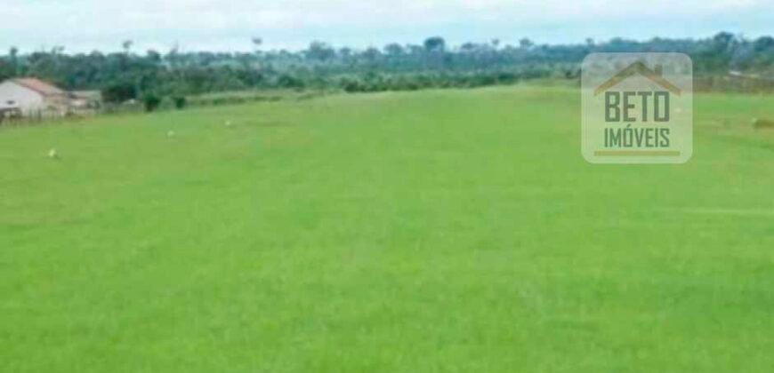 Oportunidade Única: Fazenda de Dupla Aptidão na Região de Aripuanã, MT Oportunidade Única: Fazenda de Dupla Aptidão na Região de Aripuanã, MT