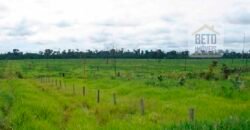 Oportunidade Única: Fazenda de Dupla Aptidão na Região de Aripuanã, MT Oportunidade Única: Fazenda de Dupla Aptidão na Região de Aripuanã, MT