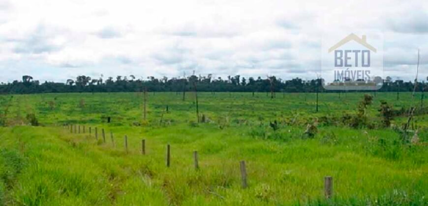 Oportunidade Única: Fazenda de Dupla Aptidão na Região de Aripuanã, MT Oportunidade Única: Fazenda de Dupla Aptidão na Região de Aripuanã, MT