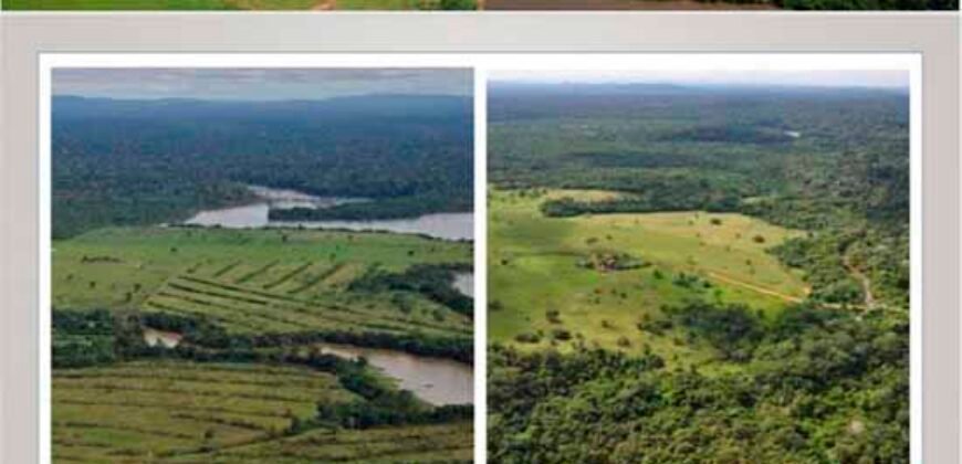 Oportunidade Única: Fazenda de Dupla Aptidão na Região de Aripuanã, MT Oportunidade Única: Fazenda de Dupla Aptidão na Região de Aripuanã, MT