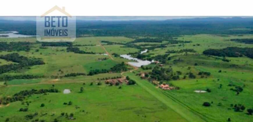 Oportunidade Única: Fazenda de Dupla Aptidão na Região de Aripuanã, MT Oportunidade Única: Fazenda de Dupla Aptidão na Região de Aripuanã, MT