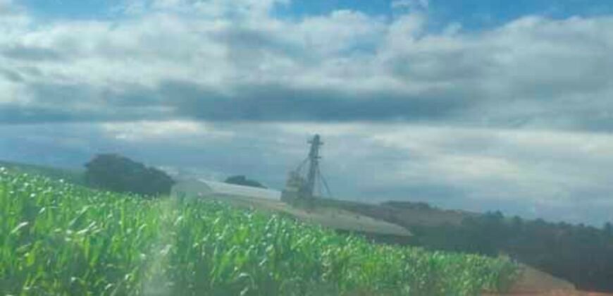 Oportunidade única: Fazenda deslumbrante com 623 alqueires | Campina da Lagoa/ PR