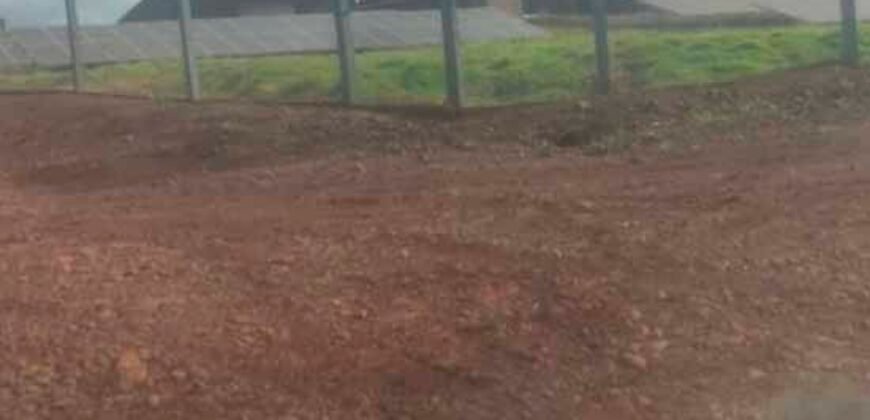 Oportunidade única: Fazenda deslumbrante com 623 alqueires | Campina da Lagoa/ PR